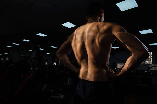 Back View Shirtless Man Sculpted Body Gym — Zdjęcie stockowe