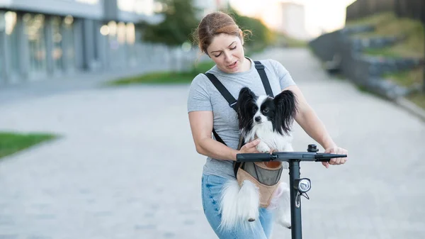 Una Mujer Monta Scooter Eléctrico Con Perro Una Mochila Pappilion — Foto de Stock