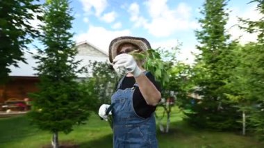 Şapkalı ve tulumlu yaşlı bir kadının portresi bir filiz tutuyor. Video 360 derece