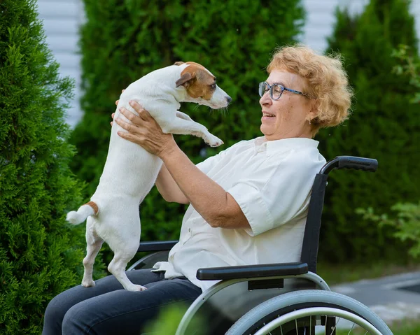 Elderly Caucasian Woman Hugging Jack Russell Terrier Dog While Sitting — Stockfoto