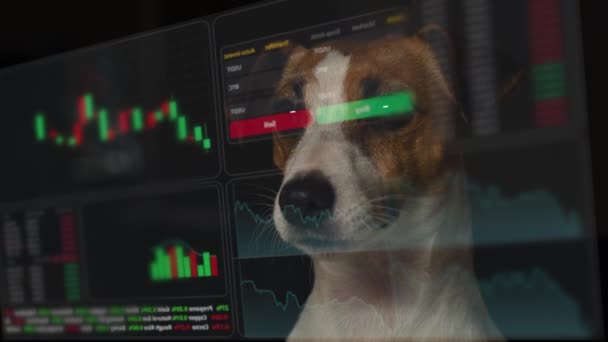 Hud 메뉴를 테리어 Jack Russell Terrier 차트를 연구하고 단말기 — 비디오