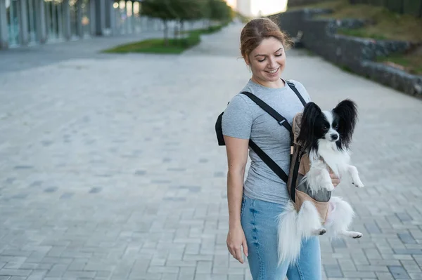 Щаслива Жінка Йде Собакою Рюкзаку Іспанський Папійон Континентальний Равлі — стокове фото