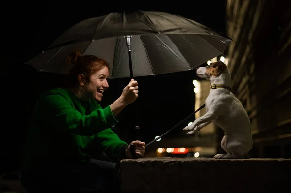 暗闇の中で傘の下の赤い髪の女性と犬のジャック ラッセル テリア — ストック写真