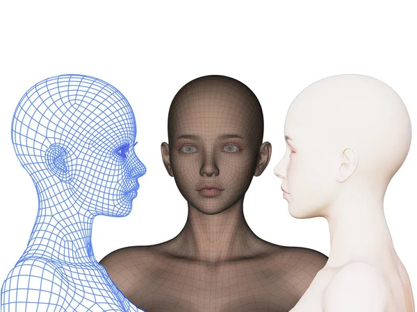 3D渲染 白色背景上的女性秃头的角 绘画的三个阶段 — 图库照片