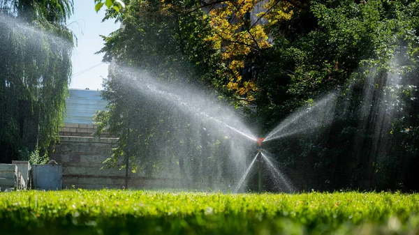 Automatic Lawn Sprinkler Humidification Grass Dry Summer Period — Stock Photo, Image