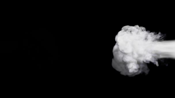Weiße Rauchschwaden Prallen Von Zwei Seiten Auf Schwarzem Grund Auf — Stockvideo