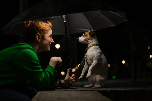 Mujer Pelirroja Perro Jack Russell Terrier Bajo Paraguas Oscuridad — Foto de Stock