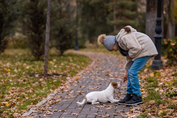 白人の女の子は秋の公園で散歩のために犬と遊ぶ — ストック写真