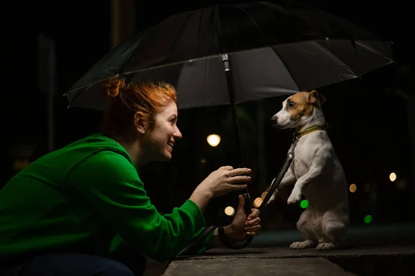 暗闇の中で傘の下の赤い髪の女性と犬のジャック ラッセル テリア — ストック写真