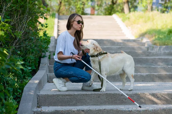 Blind Young Blonde Petting Guide Dog Walk Park Woman Tactile — Stock Photo, Image