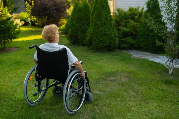 Dışarıda Yürürken Tekerlekli Sandalyede Oturan Huzur Dolu Yaşlı Kadın — Stok fotoğraf