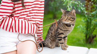 Genç bir kadın ve tekir kedi açık bir bankta oturuyor.