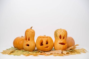 Akçaağaç yaprakları üzerinde bir grup balkabağı-fener. Beyaz arka planda Cadılar Bayramı dekorasyonu