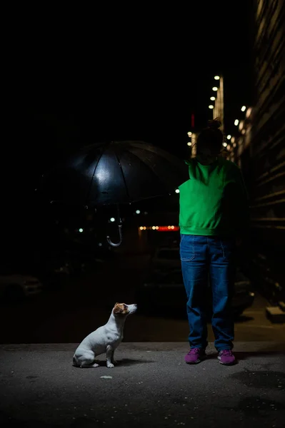 Mulher Abrigando Jack Russell Cão Terrier Sob Guarda Chuva Chuva — Fotografia de Stock