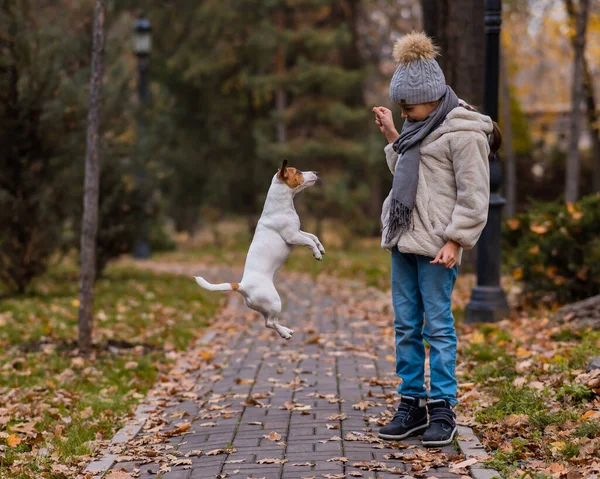 Fille Caucasienne Jouer Avec Chien Pour Une Promenade Dans Parc — Photo