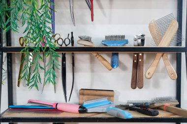 Bir kuaförde tımar aletleri.