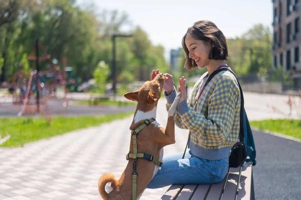 Young Beautiful Woman Sits Bench Dog Outdoors Non Barking African — Stock Photo, Image
