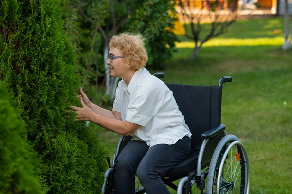 Šťastná Starší Žena Invalidním Vozíku Raduje Procházce Venku — Stock fotografie
