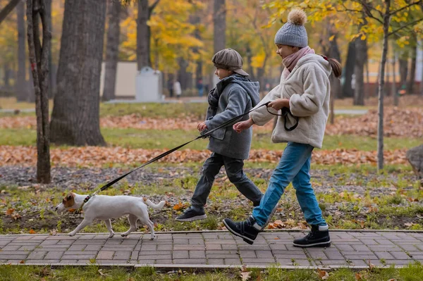 Брат Сестра Выгуливают Собаку Парке Осенью Мальчик Девочка Бегают Джеком — стоковое фото