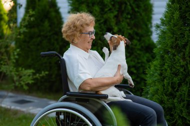 Elderly caucasian woman hugging a jack russell terrier dog while sitting in a wheelchair on a walk outdoors
