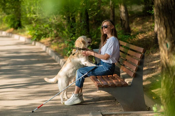 Blind young woman cuddling with guide dog while sitting on a bench