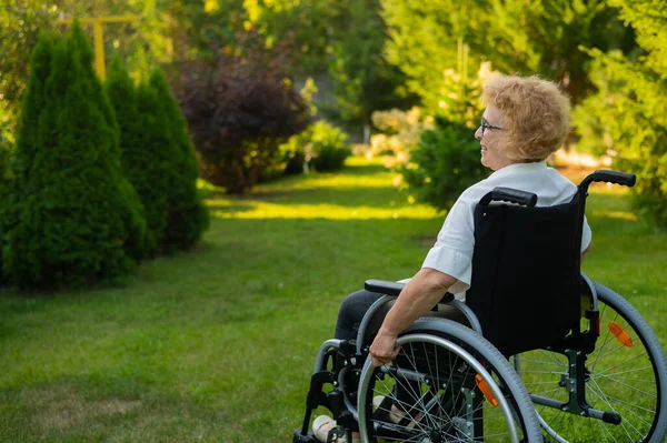 Happy Elderly Woman Sitting Wheelchair Walk Outdoors — Stok fotoğraf