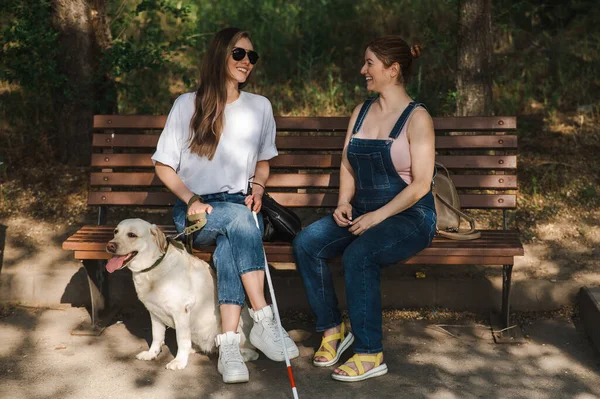 Blind Kaukasisk Kvinna Sitter Bänk Med Ledarhund Och Gravid Vän — Stockfoto