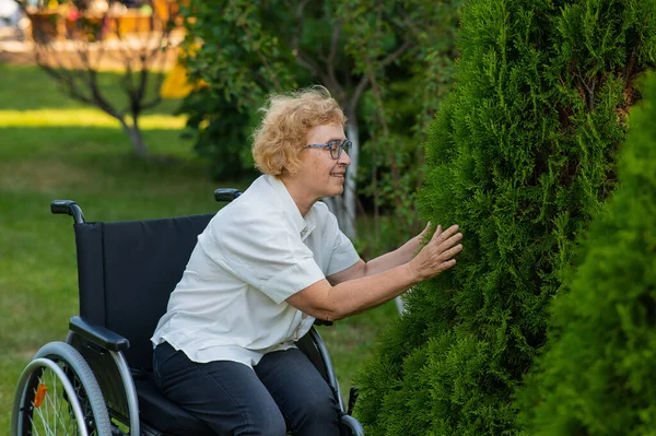 坐在轮椅上的快乐老年妇女在户外散步时很开心 — 图库照片
