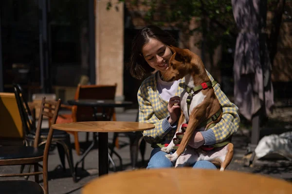 Ung Kvinna Ett Gatucafé Med Basenji Afrikansk Icke Skällande Hund — Stockfoto