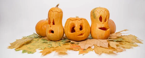 Skupina Javorových Luceren Javorových Listech Halloween Dekorace Bílém Pozadí Širokoplošná — Stock fotografie