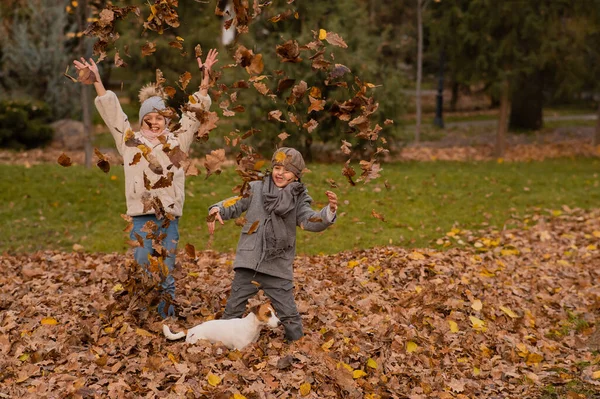 Caucasian Children Playing Dog Jack Russell Terrier Autumn Park — Stock Photo, Image