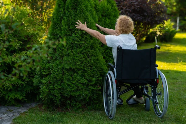 坐在轮椅上的快乐老年妇女在户外散步时很开心 — 图库照片