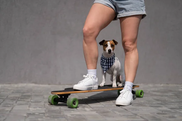 白人女性ライディングロングボードと一緒に犬ジャックRussellテリア — ストック写真