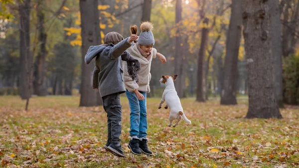 Kaukasiske Børn Går Med Jack Russell Terrier Efteråret Park Dreng - Stock-foto