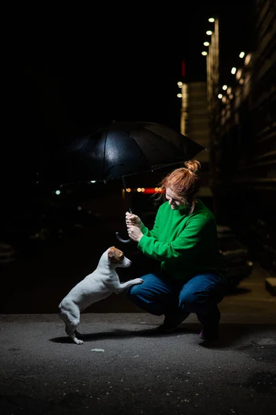 Woman Sheltering Jack Russell Terrier Dog Umbrella Rain — Stock Photo, Image