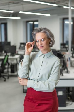 Portrait of an attractive mature caucasian woman in the office