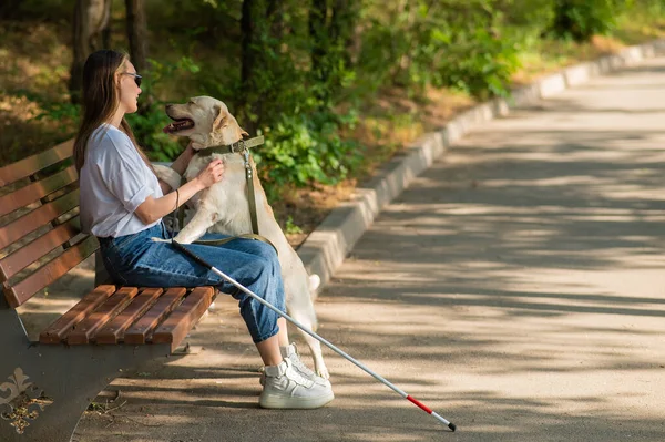Τυφλή Νεαρή Γυναίκα Αγκαλιάζεται Σκύλο Οδηγό Ενώ Κάθεται Ένα Παγκάκι — Φωτογραφία Αρχείου