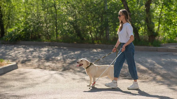 Τυφλή Γυναίκα Περπάτημα Σκύλο Οδηγό Στο Πάρκο — Φωτογραφία Αρχείου