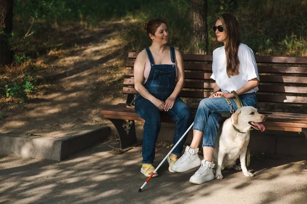 Blind Kaukasisk Kvinna Sitter Bänk Med Ledarhund Och Gravid Vän — Stockfoto