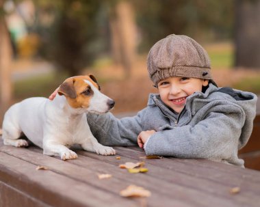 Jack Russell Terrier köpeği bir sonbahar parkında bir çocukla yürüyüş yapmak için bankta oturur.