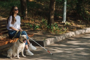 Kılavuz köpekle bankta oturan kör beyaz kadın.