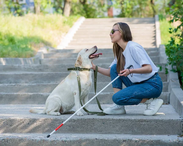 Τυφλή Νεαρή Ξανθιά Χαϊδεύει Ένα Σκύλο Οδηγό Μια Βόλτα Στο — Φωτογραφία Αρχείου