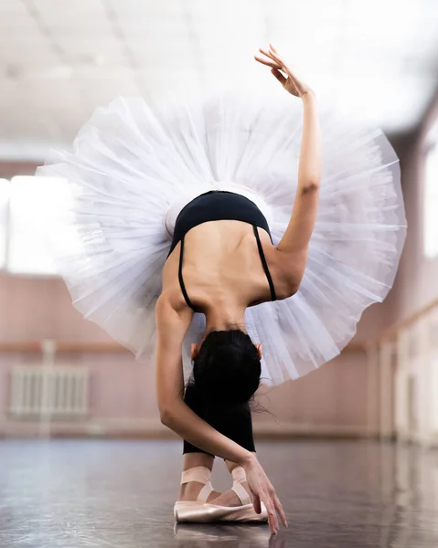 Gracioso Asiático Bailarina Preto Bodysuit Branco Tutu Poses Inclinação — Fotografia de Stock