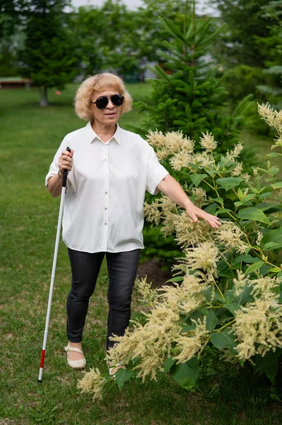 一位老年失明妇女在公园里散步时闻到了开花灌木的味道 — 图库照片