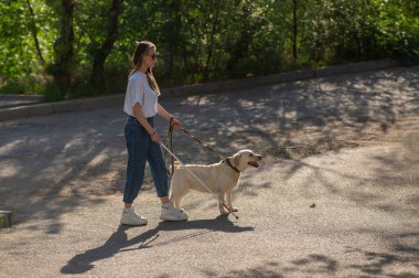 Kör kadın parkta rehber köpekle yürüyor.