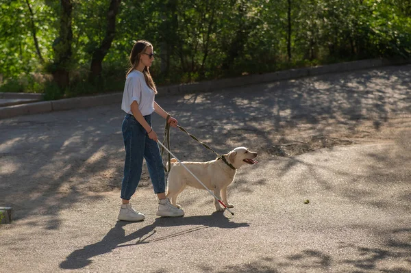 Donna Cieca Che Cammina Con Cane Guida Nel Parco — Foto Stock