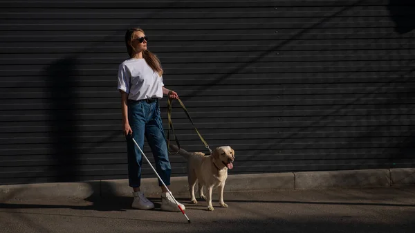 Blind woman walking guide dog outdoors