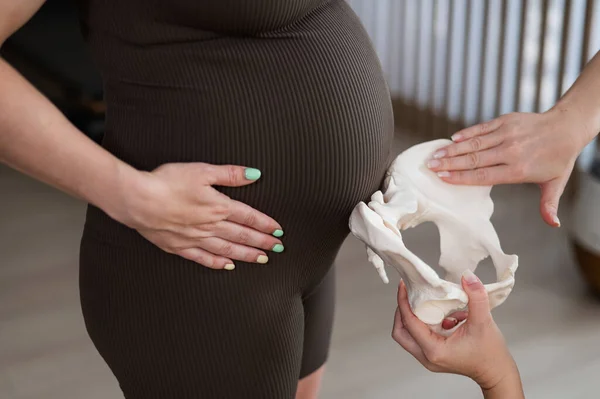 ドーラは妊婦の骨盤のサンプルで出産のプロセスを説明します — ストック写真