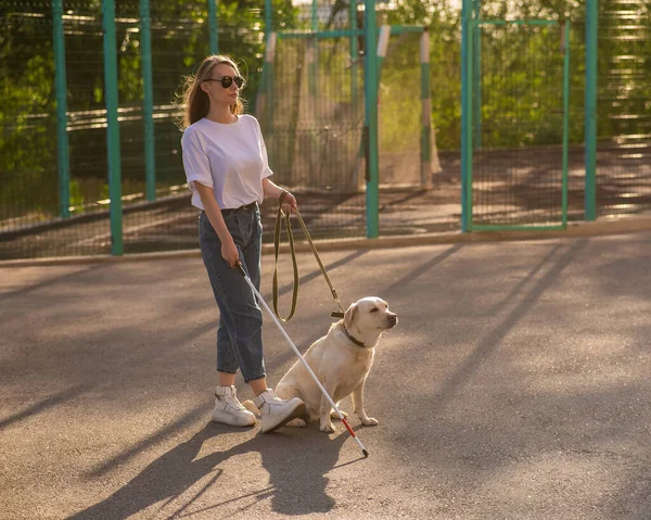 Τυφλή Γυναίκα Που Περπατά Σκύλο Οδηγό — Φωτογραφία Αρχείου