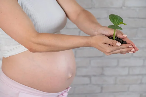 妊婦が芽を出している クロップド トミー — ストック写真